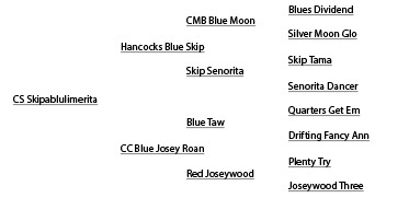 quarter horse pedigree